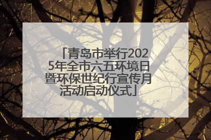 青岛市举行2025年全市六五环境日暨环保世纪行宣传月活动启动仪式