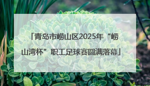 青岛市崂山区2025年“崂山湾杯”职工足球赛圆满落幕