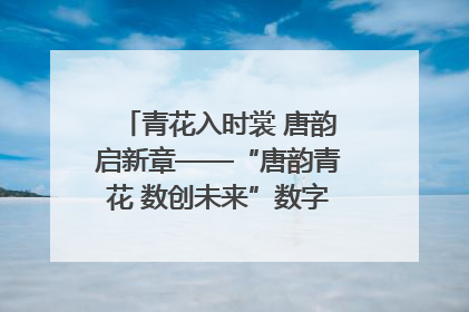 青花入时裳 唐韵启新章——“唐韵青花 数创未来”数字文创设计大赛启幕
