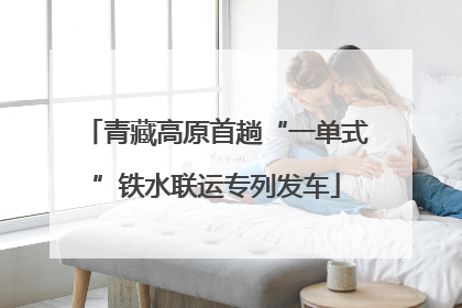青藏高原首趟“一单式”铁水联运专列发车