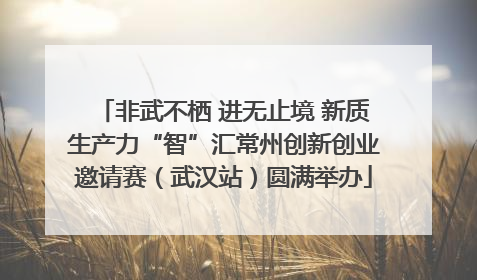 非武不栖 进无止境 新质生产力“智”汇常州创新创业邀请赛（武汉站）圆满举办