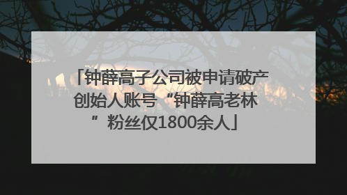 钟薛高子公司被申请破产 创始人账号“钟薛高老林”粉丝仅1800余人