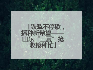 铁犁不停歇，播种新希望——山东“三夏”抢收抢种忙