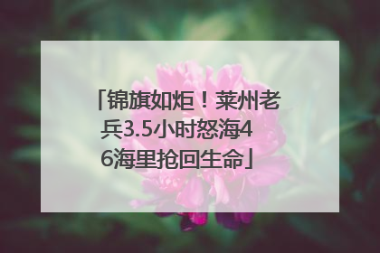锦旗如炬！莱州老兵3.5小时怒海46海里抢回生命