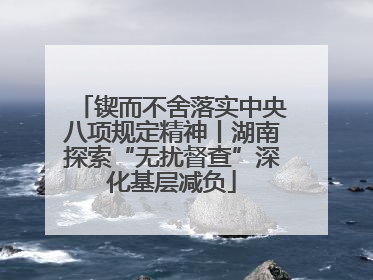 锲而不舍落实中央八项规定精神丨湖南探索“无扰督查”深化基层减负