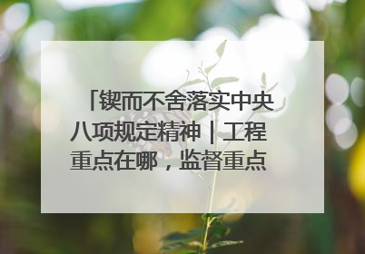 锲而不舍落实中央八项规定精神｜工程重点在哪，监督重点就在哪——广西深化政治监督护航平陆运河建设