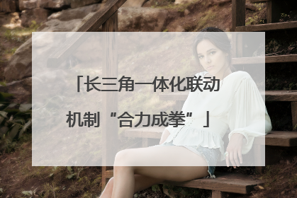 长三角一体化联动机制“合力成拳”
