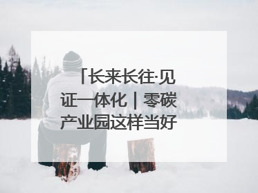 长来长往·见证一体化｜零碳产业园这样当好“碳”路先锋