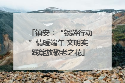 镇安：“银龄行动”情暖端午 文明实践绽放敬老之花