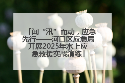 闻“汛”而动，应急先行——河口区应急局开展2025年水上应急救援实战演练