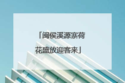 闽侯溪源寨荷花盛放迎客来