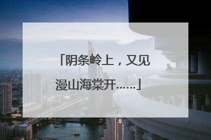 阴条岭上，又见漫山海棠开……
