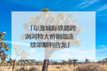 阜淮城际铁路跨涡河特大桥钢混连续梁顺利合龙