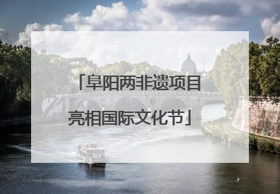 阜阳两非遗项目亮相国际文化节