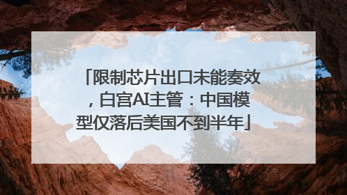 限制芯片出口未能奏效，白宫AI主管：中国模型仅落后美国不到半年