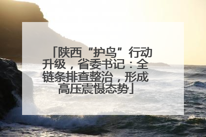 陕西“护鸟”行动升级，省委书记：全链条排查整治，形成高压震慑态势