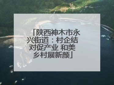 陕西神木市永兴街道：村企结对促产业 和美乡村展新颜