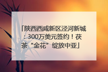 陕西西咸新区泾河新城：300万美元签约！茯茶“金花”绽放中亚