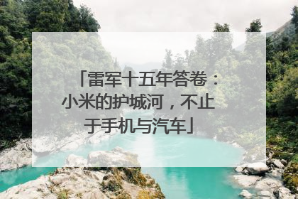 雷军十五年答卷：小米的护城河，不止于手机与汽车
