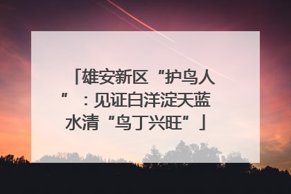 雄安新区“护鸟人”：见证白洋淀天蓝水清“鸟丁兴旺”