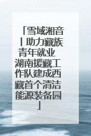 雪域湘音丨助力藏族青年就业 湖南援藏工作队建成西藏首个清洁能源装备园