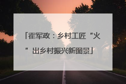霍军政：乡村工匠“火”出乡村振兴新图景