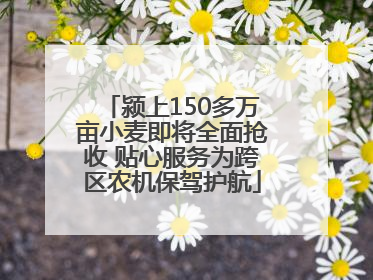 颍上150多万亩小麦即将全面抢收 贴心服务为跨区农机保驾护航