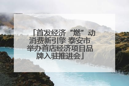 首发经济“燃”动消费新引擎 泰安市举办首店经济项目品牌入驻推进会