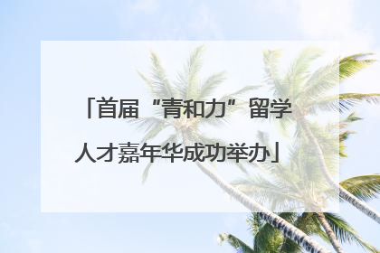 首届“青和力”留学人才嘉年华成功举办