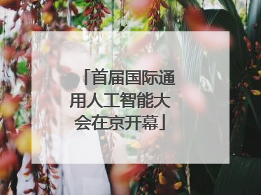 首届国际通用人工智能大会在京开幕