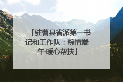 驻曹县省派第一书记和工作队：粽情端午·暖心帮扶