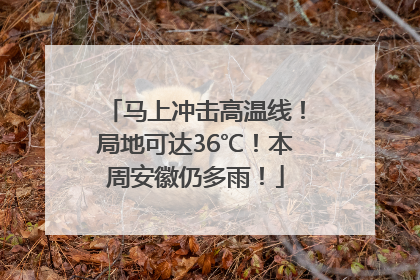 马上冲击高温线！局地可达36℃！本周安徽仍多雨！