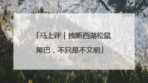 马上评｜拽断西湖松鼠尾巴，不只是不文明