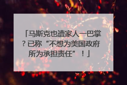 马斯克也遭家人一巴掌？已称“不想为美国政府所为承担责任”！