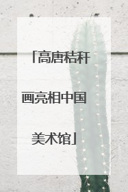 高唐秸秆画亮相中国美术馆