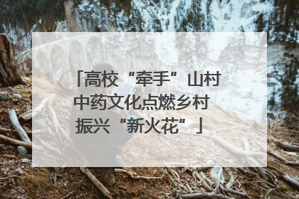 高校“牵手”山村 中药文化点燃乡村振兴“新火花”