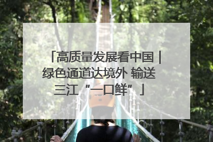 高质量发展看中国｜绿色通道达境外 输送三江“一口鲜”