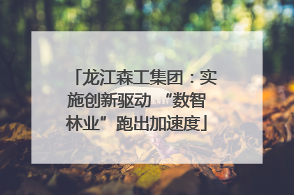 龙江森工集团：实施创新驱动 “数智林业”跑出加速度