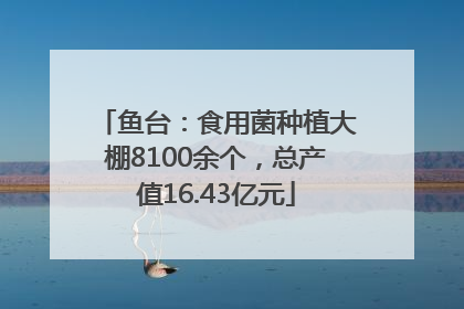鱼台：食用菌种植大棚8100余个，总产值16.43亿元