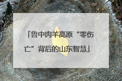 鲁中肉羊高原“零伤亡”背后的山东智慧