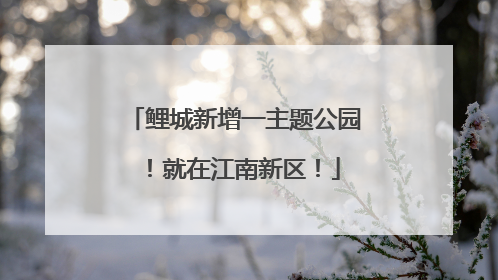 鲤城新增一主题公园！就在江南新区！