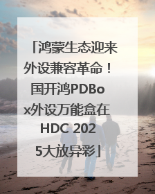 鸿蒙生态迎来外设兼容革命！国开鸿PDBox外设万能盒在HDC 2025大放异彩