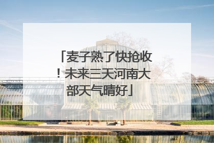 麦子熟了快抢收！未来三天河南大部天气晴好