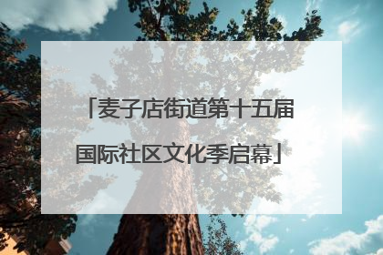 麦子店街道第十五届国际社区文化季启幕