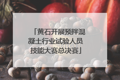 黄石开展预拌混凝土行业试验人员技能大赛总决赛