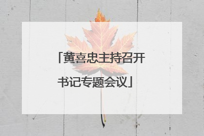 黄喜忠主持召开书记专题会议