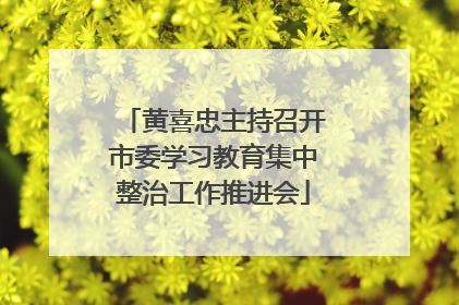 黄喜忠主持召开市委学习教育集中整治工作推进会