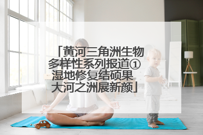 黄河三角洲生物多样性系列报道①湿地修复结硕果 大河之洲展新颜