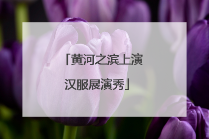 黄河之滨上演汉服展演秀