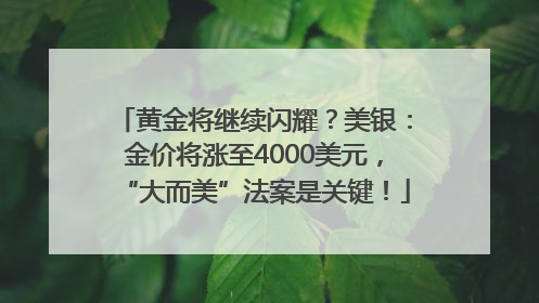 黄金将继续闪耀？美银：金价将涨至4000美元，“大而美”法案是关键！